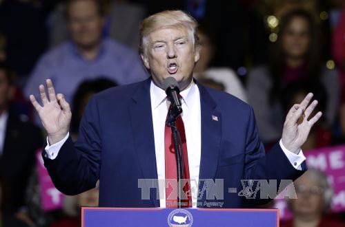 Ông Trump bác thông tin tình báo Nga can dự vào bầu cử Mỹ ảnh 1